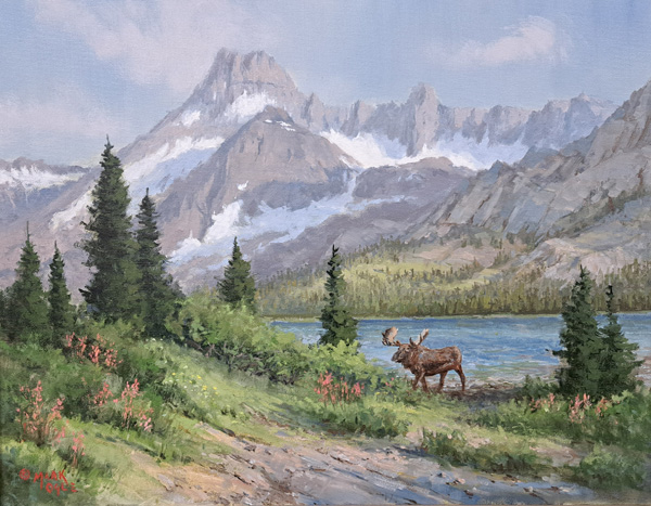 Moose below Heavy Shield - Glacier National Park